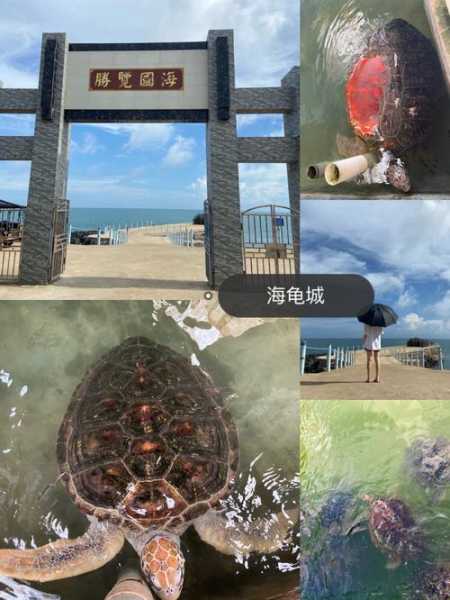 硇洲岛怎么读, 正确发音与使用场景解析