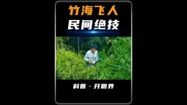 竹海飞人, 探索神秘的竹林飞行体验