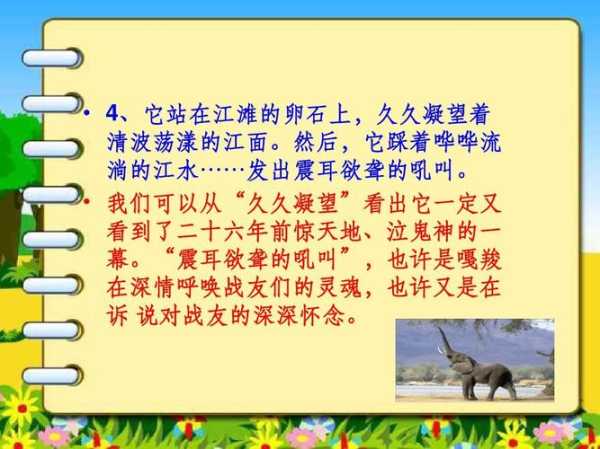 雪泥马:为何其故事令人动容?