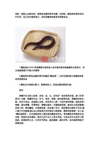 鳗鳚,了解这种美味水产的营养价值