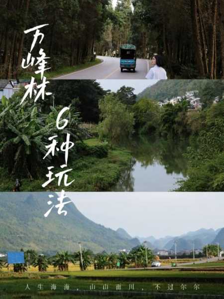 万峰林的最佳玩法( 有哪些拍照秘诀)