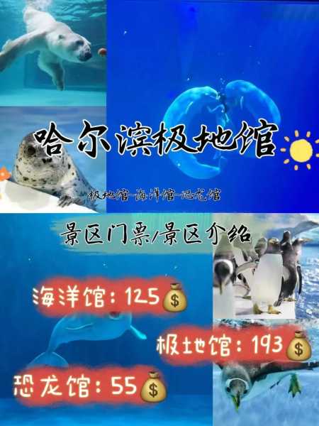 哈尔滨极地馆官网订票(官网订票方便吗)