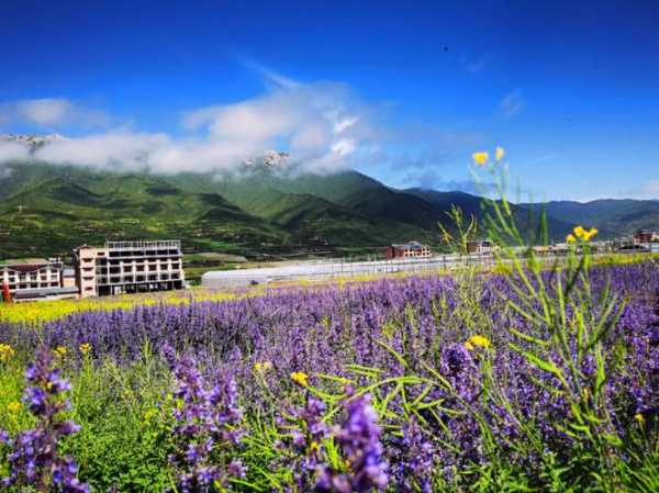 九红草原风光路_探寻自然之美与秘境之旅