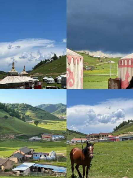 关山牧场在哪_揭秘这片美丽的牧场位置
