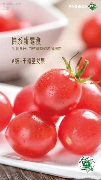 千禧坊_揭秘它的独特魅力和价值