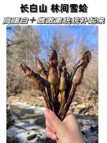 吃林蛙犯法吗_知道法律后再决定