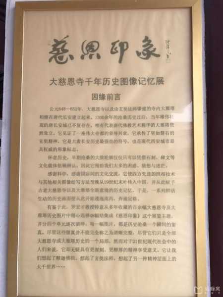 大善塔_探索其背后的历史与文化意义