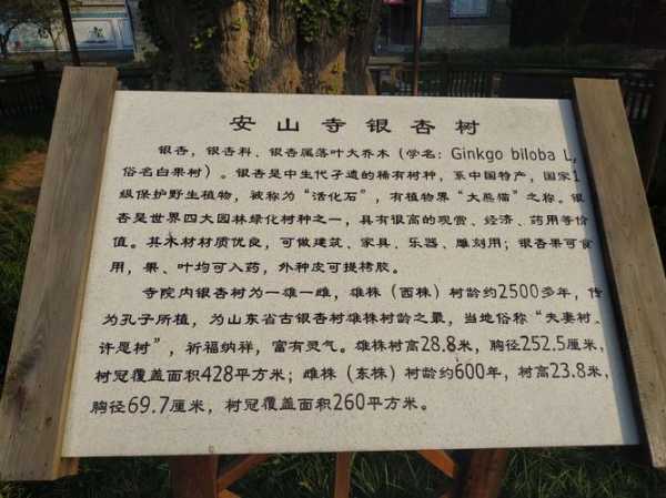 大连安山寺_历史文化与旅游攻略