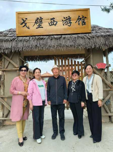 戈壁村的小娘子_她的故事为何打动人心?