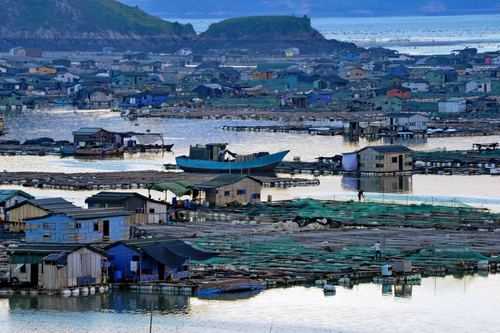泉州蟳埔村一日游_探索海边渔村的独特魅力