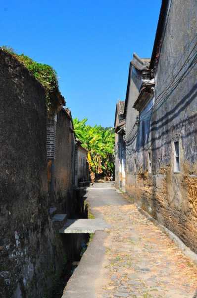皇思扬古围村_探秘古村落的独特魅力