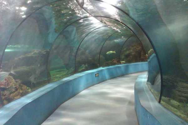 迎泽公园海底世界_探索神秘海洋生物的乐园