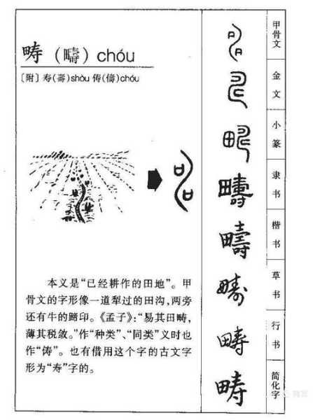 金寿什么字_探秘其含义与来源
