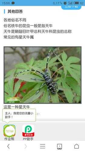 铁水牛_了解它的生态习性与饲养方法