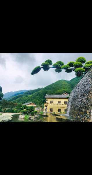 马安竹海_探秘自然之美与静谧之地