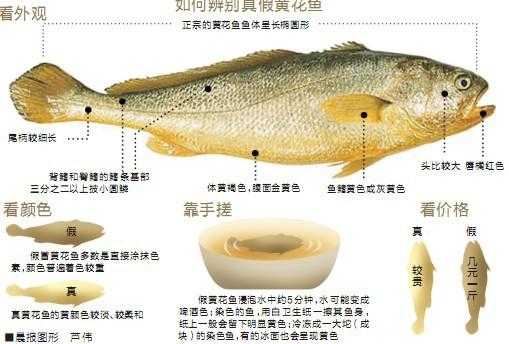 黄壳鱼_营养价值及食用方法解析