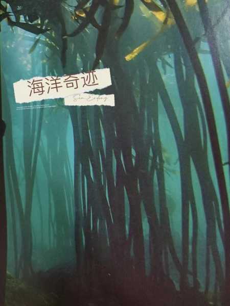 万荣海_令人心醉的海洋秘境探寻秘诀