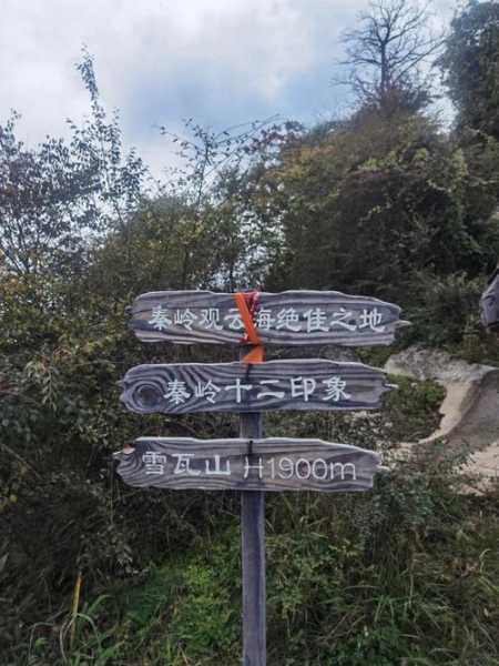 嘉午台风景区简介_探索自然与文化的完美结合