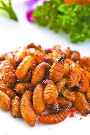 广宁竹虫_如何烹饪这道美味佳肴?