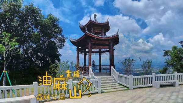 油麻山森林公园_探寻自然美景与休闲活动
