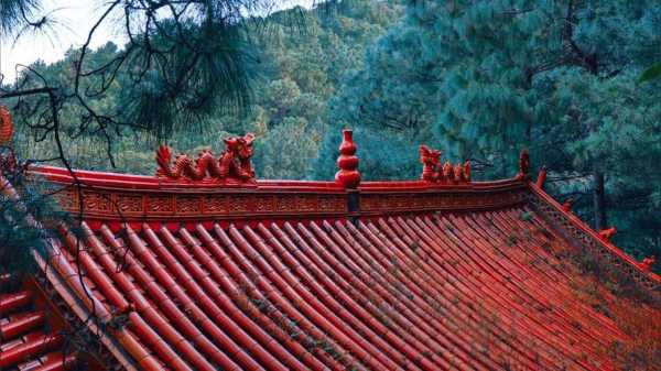 法界寺森林公园_探寻自然与宁静的完美结合