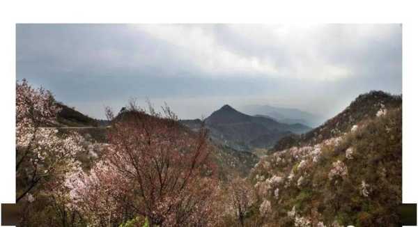 火石山医院_患者就医攻略与经验分享