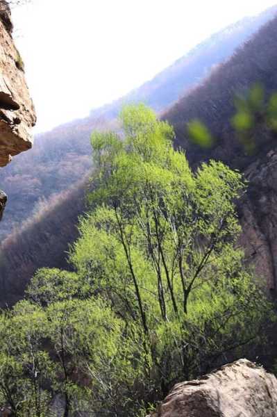 猪圈沟自然风景区_探索隐藏的自然奇观