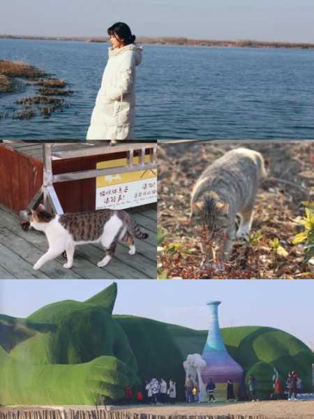 猫岛在哪里_探秘神秘猫岛的最佳去处