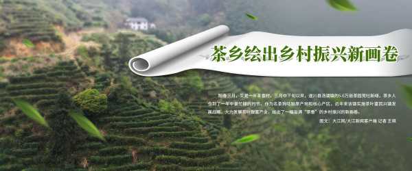 茶叶口镇_探索这座茶乡的魅力与故事