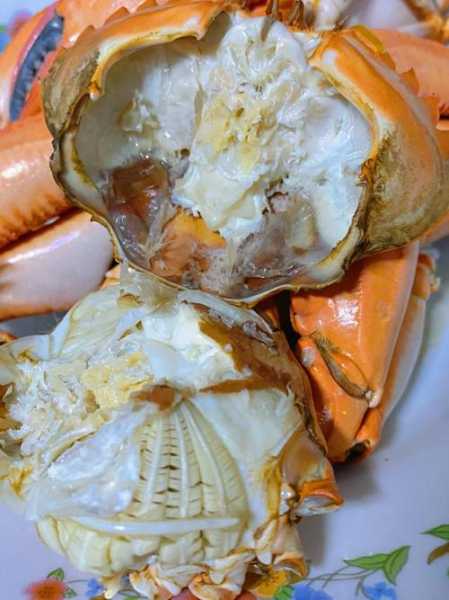 赤甲红海蟹_如何科学养殖与美味食谱?