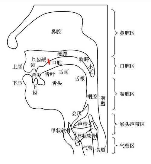 车辋怎么读_正确发音及常见误区
