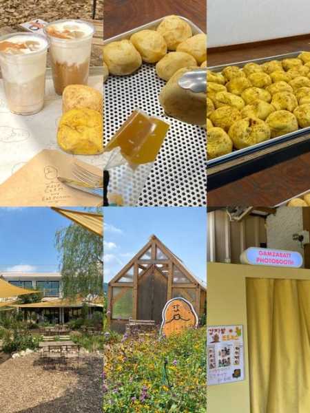 辉县韭山_探寻美食与自然之旅