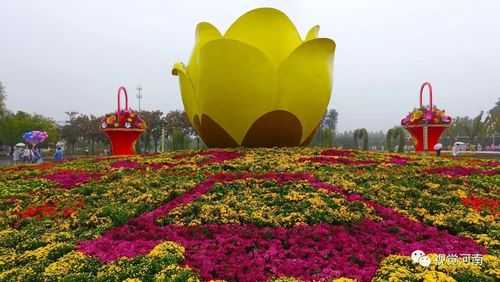 鄢陵花博园_探索花海的魅力与秘境