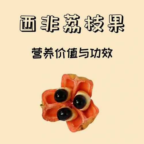 阿基果_营养价值与健康功效解析