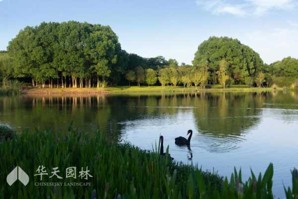 仙鹤湖湿地公园_探秘自然之美与生态珍藏