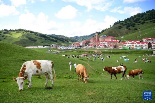 关山牧场旅游攻略_玩转关山的最佳秘笈