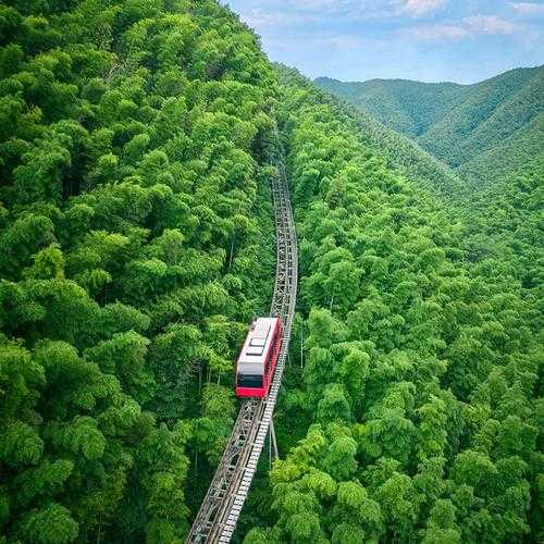 南山竹海多高_探秘竹海的高度与美景