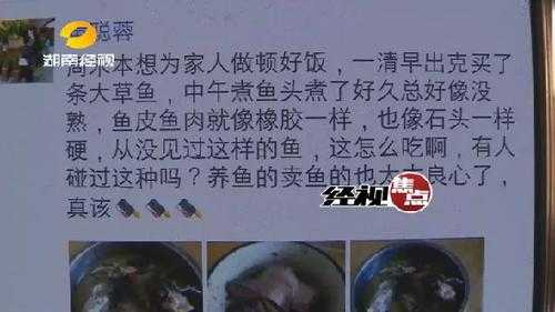 怪鱼流入长沙市场_消费者需要注意哪些安全问题?