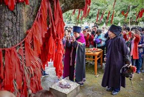 献给树神的祭品_如何选择合适的祭品?