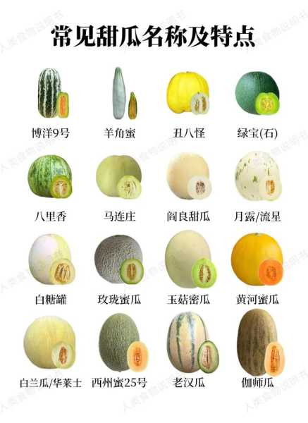 甜板_你了解它的独特魅力吗?