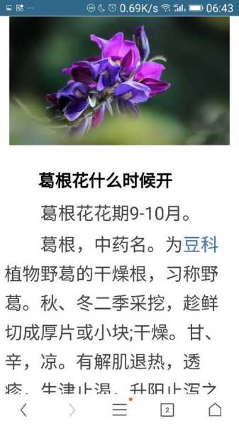 葛花树_种植技巧与养护要点