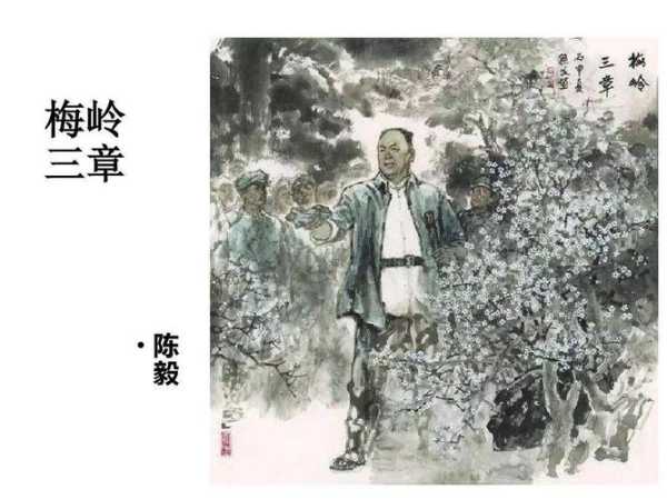 血雨沁芳_给你带来怎样的阅读体验？