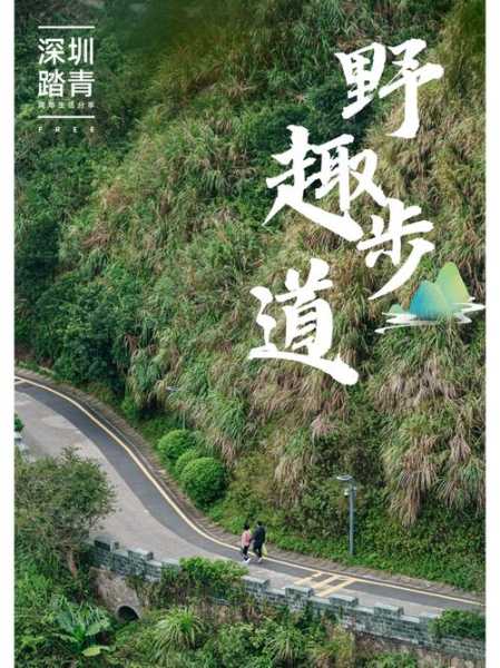 深圳东_探索这个隐藏的城市宝藏