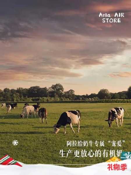 BARZAR_如何在生活中应用它的理念?