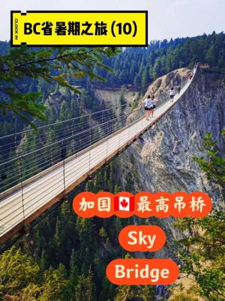 broken bridges_如何重建人与人之间的连接