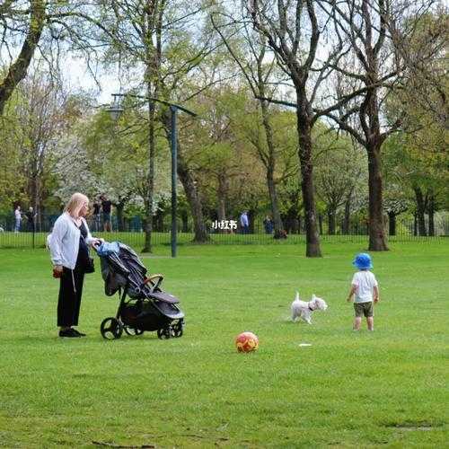 green park_如何选择理想的绿地休闲场所?