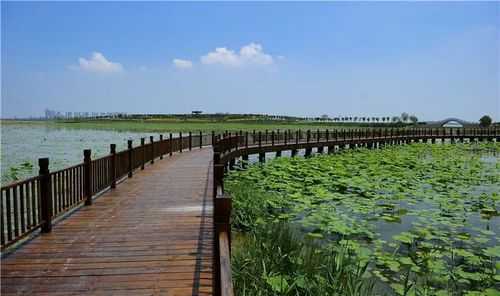 东丽湖度假村_探索完美假期的理想之地