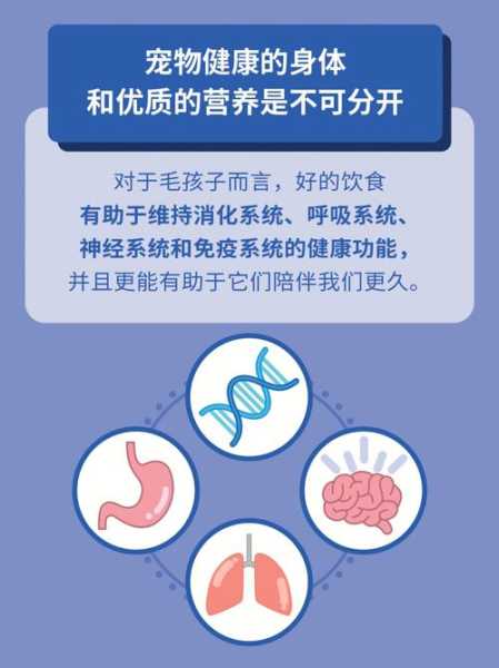 东京ブルドック_如何培养健康的宠物?