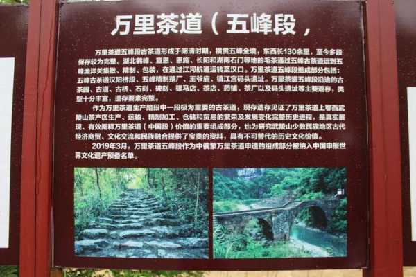 陆羽山庄_揭开隐秘的茶文化之旅