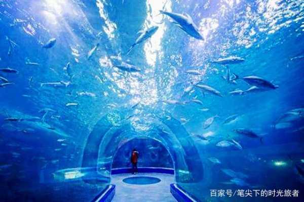 鲸鱼沟_探寻海洋中的神秘之地